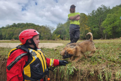 BPF partner, ASAR Training & Response, rescues a puppy stranded in Western North Carolina.