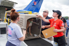 BISSELL Pet Foundation transports pets from Asheville Humane Society.