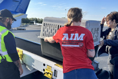 BPF's AIM team transports pets from hurricane impacted shelters in Tennessee.