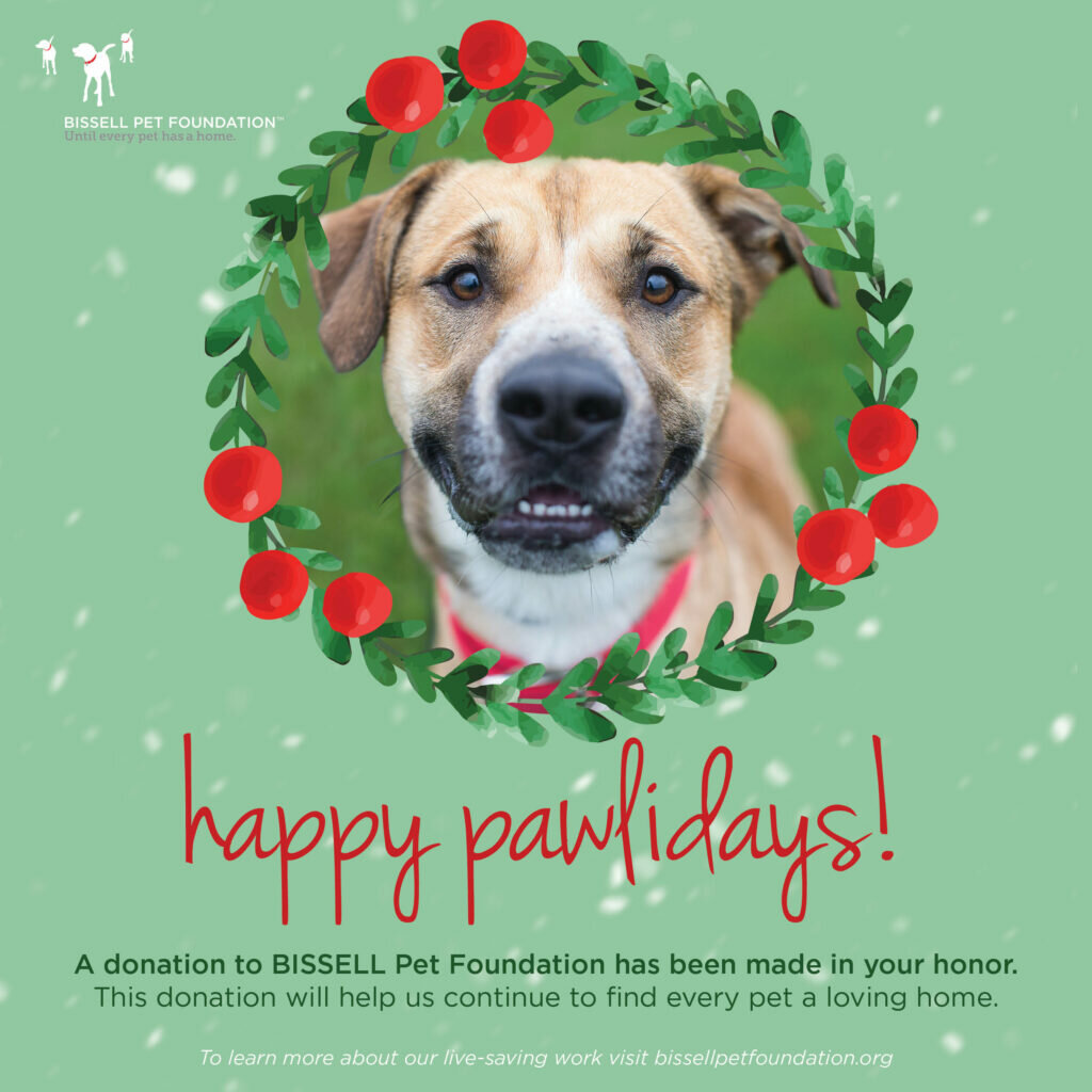 Holiday Card 1 - Bissell Pet Foundation