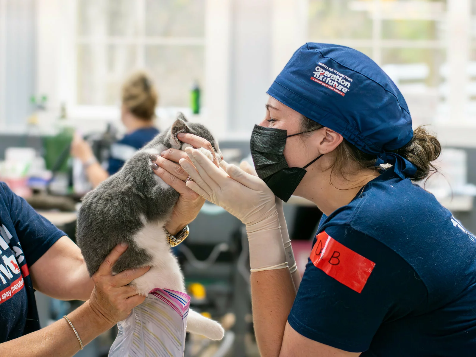 Vet with kitten