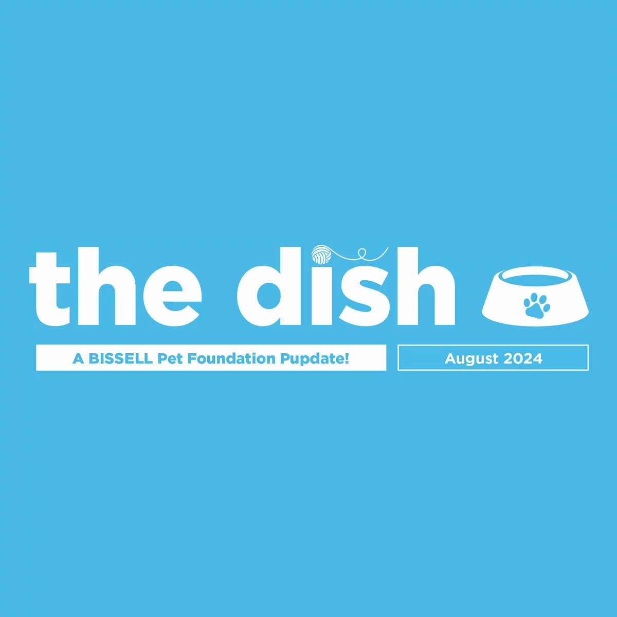 the dish august edition