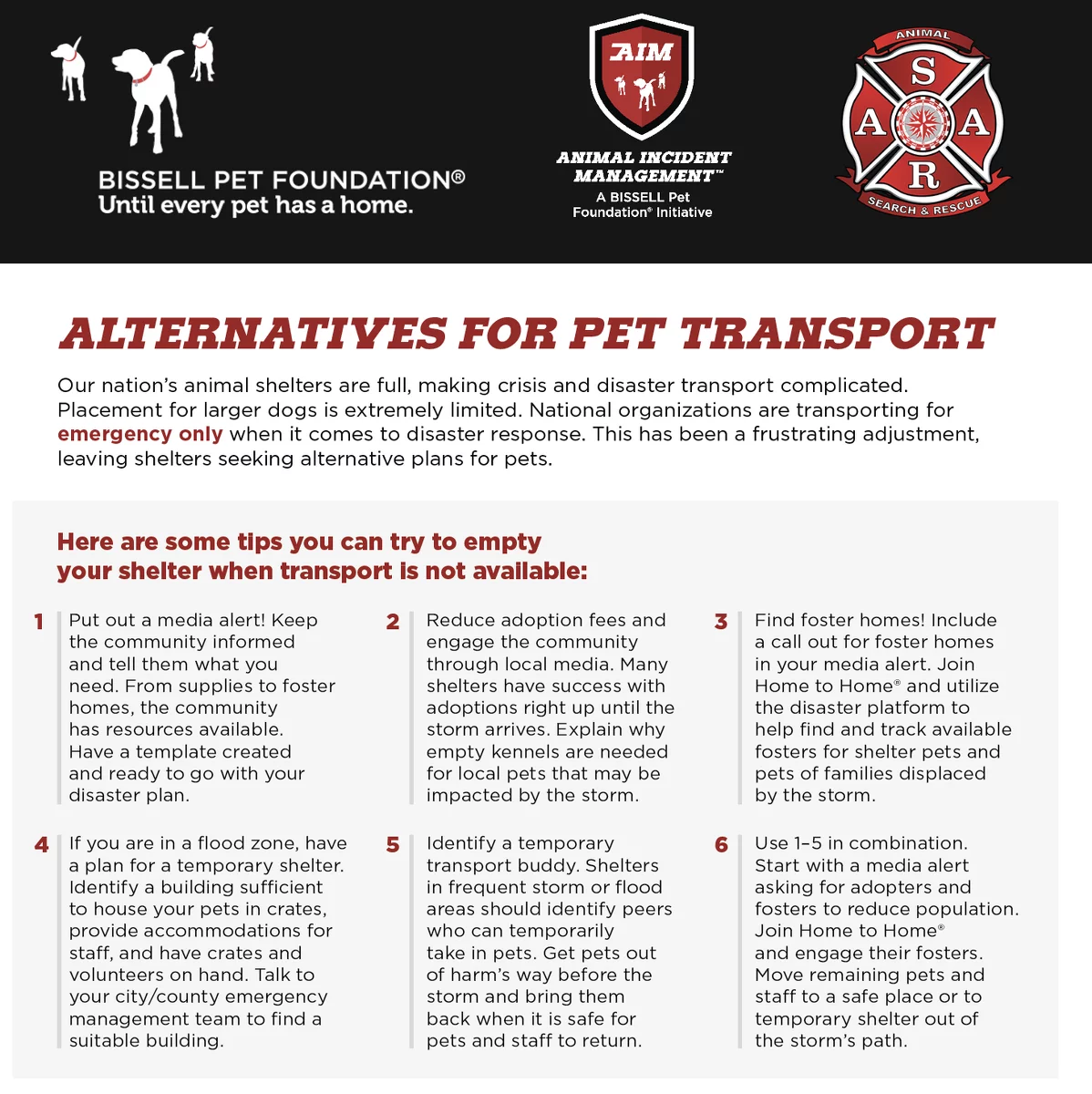 alternatives for pet transport