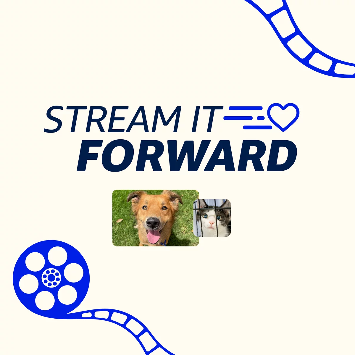 stream it forward logo 2