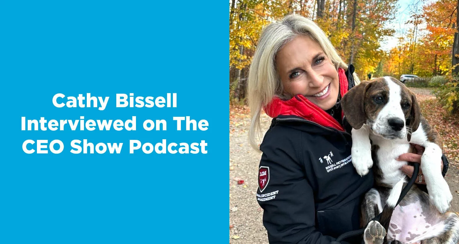 Cathy Bissell Interviewed on The CEO Show Podcast