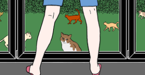 women standing at window with cat between legs