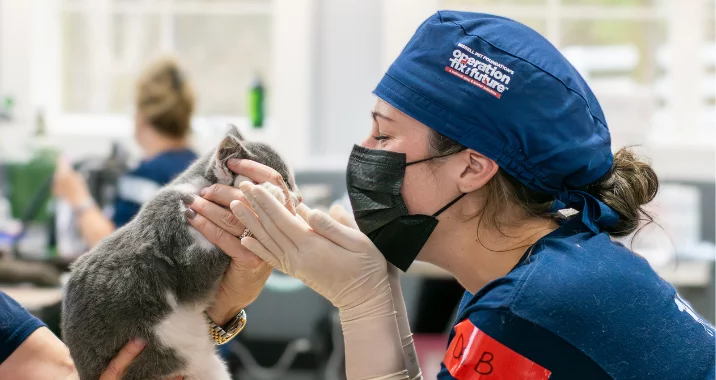 BPF contract vet snuggles a kitten before surgery