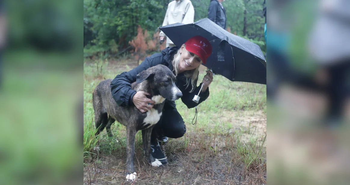 Cathy Bissell hugs dog rescued from large-scale cruelty case in Mississippi